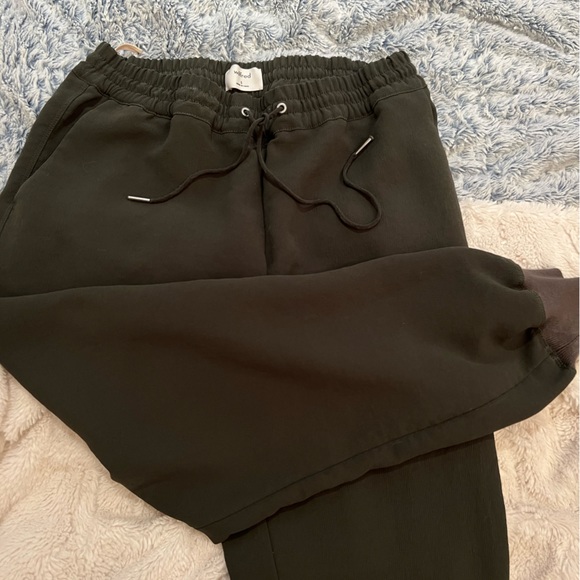 Wilfred aritzia dressy joggers - Picture 2 of 4